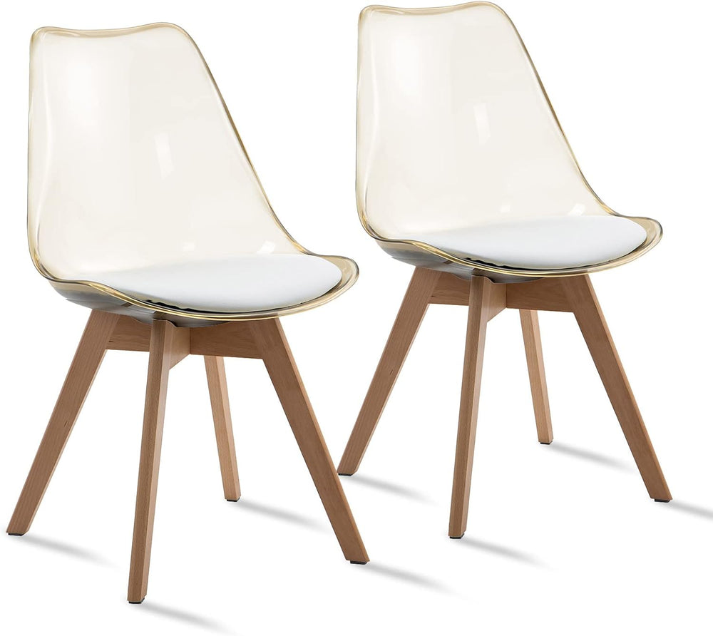 ANOUR Modern Dining Chairs Set of 2, Clear Kitchen Chairs, Acrylic Accent Cha...