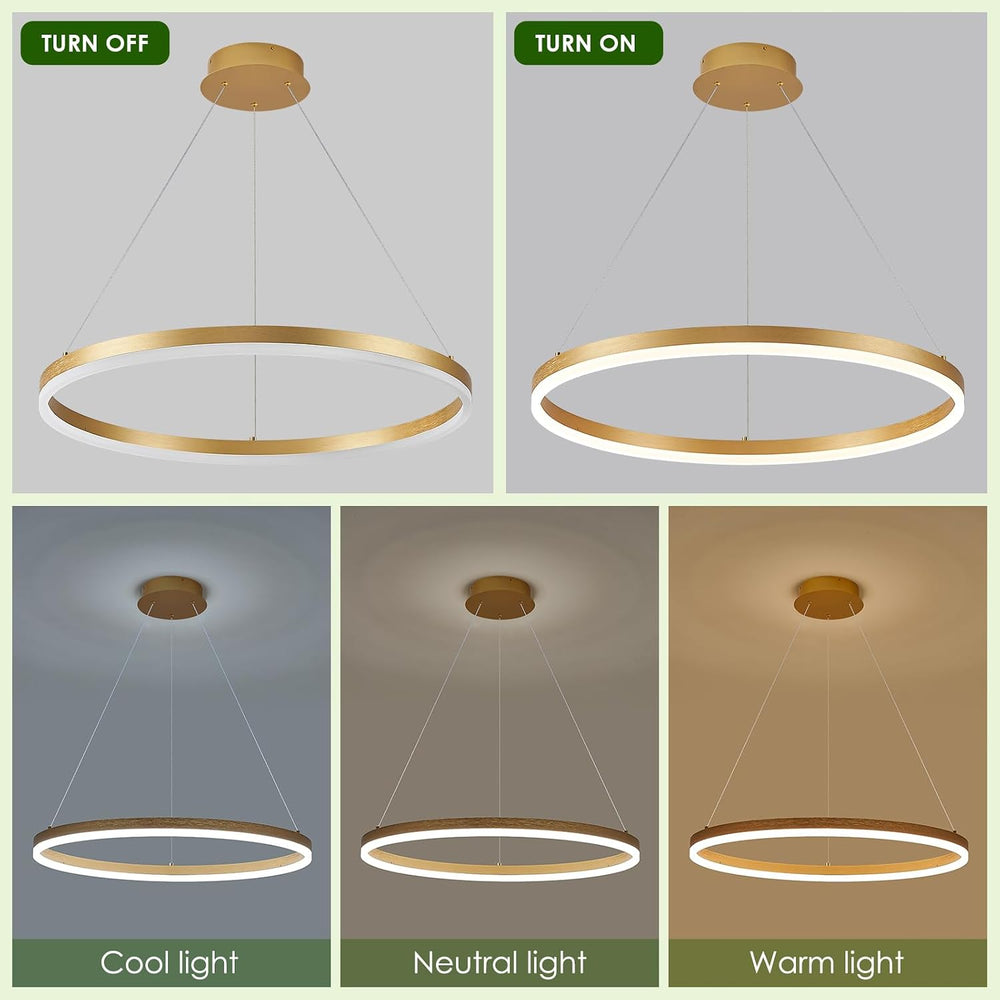 Benkut D24in Modern LED Ring Chandelier Gold Pendant Light with Remote