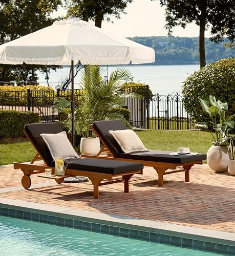 SAFAVIEH Outdoor Newport Chaise Lounge Chair, Natural & Black PAT7022X