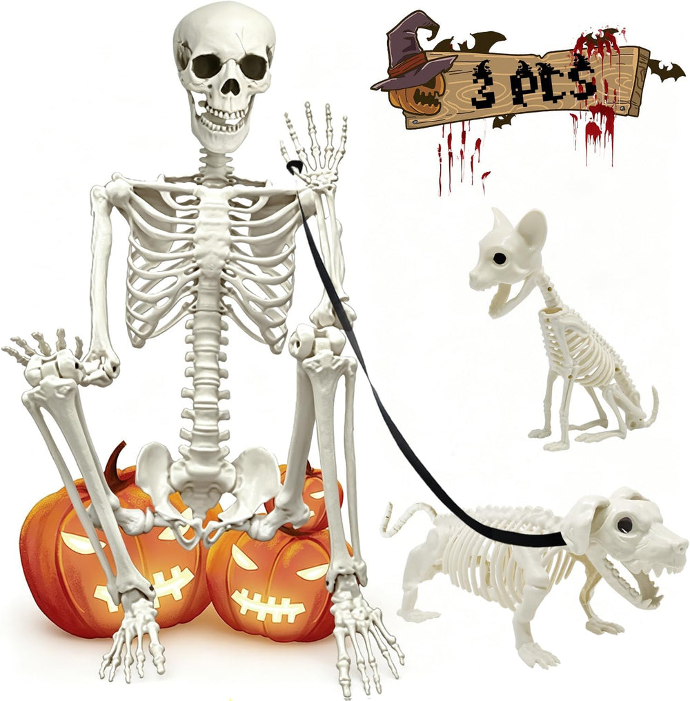 5.4Ft Posable Halloween Skeleton with Dog Cat Skeleton for Halloween Decor