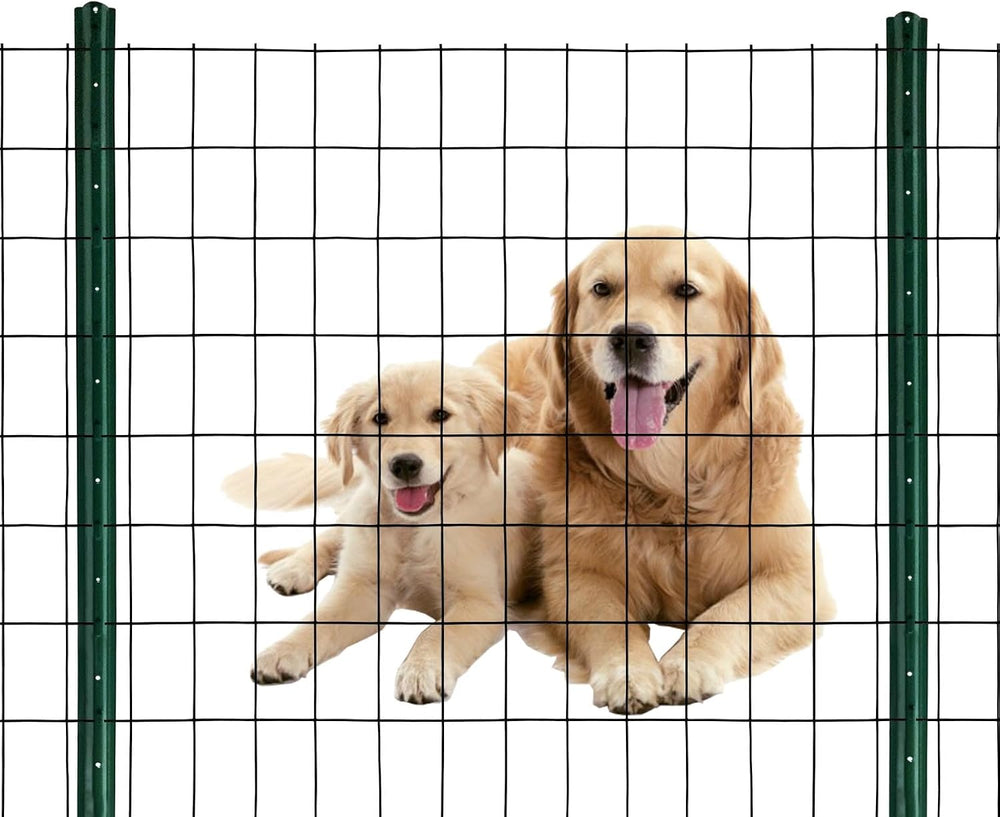 Black PVC Coated Welded Wire Mesh Garden Economy Fence 24 Inch x 50 Foot-3 In...