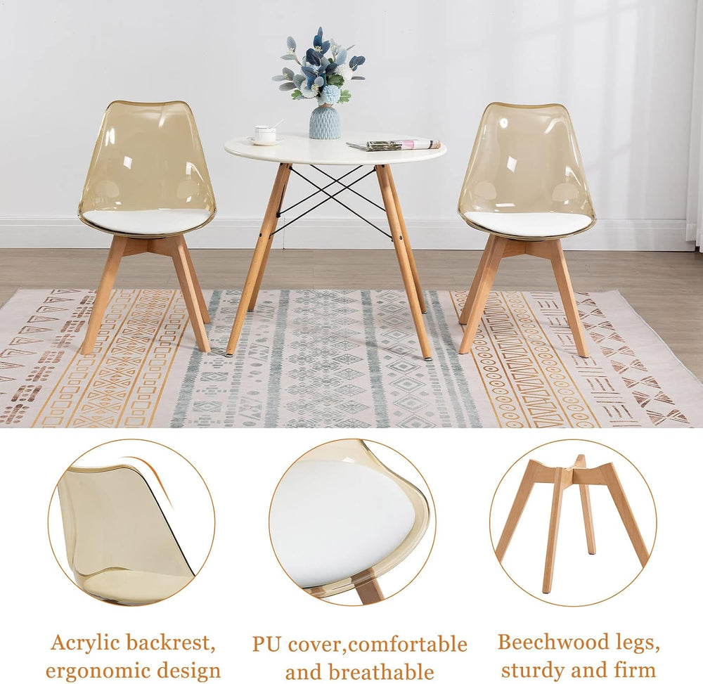 ANOUR Modern Dining Chairs Set of 2, Clear Kitchen Chairs, Acrylic Accent Cha...