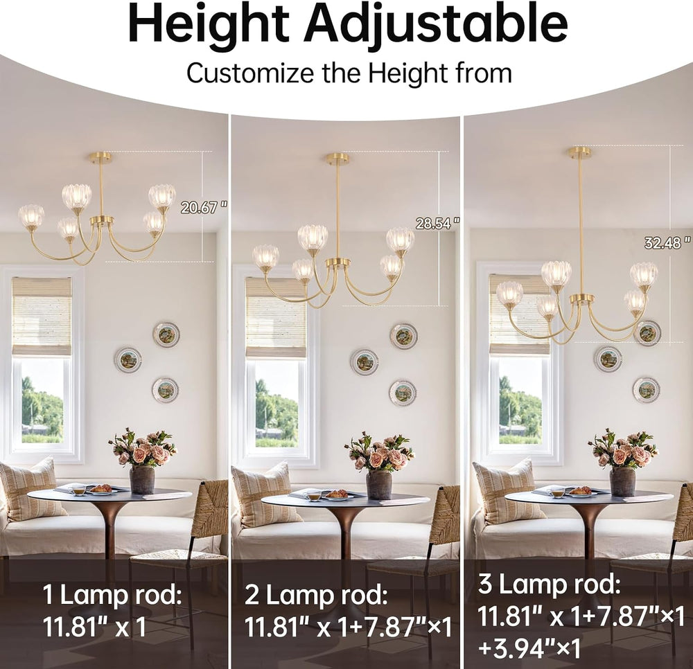 Shenmoyl 30.31" Brass Gold 5-Light Chandelier, 5-Arm Clear Tulip Glass P...