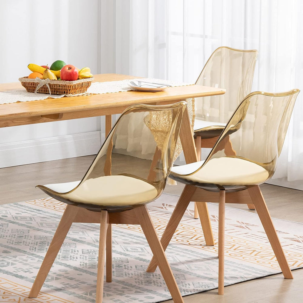 ANOUR Modern Dining Chairs Set of 2, Clear Kitchen Chairs, Acrylic Accent Cha...