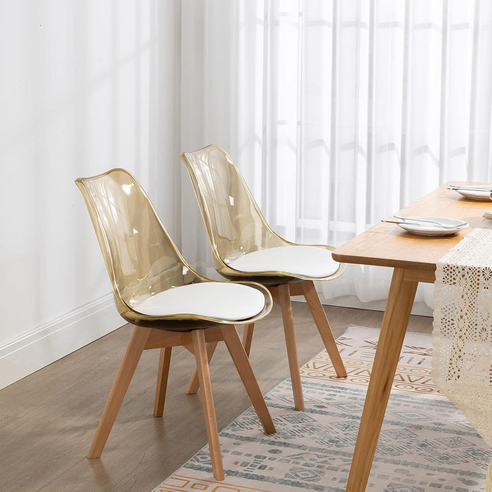 ANOUR Modern Dining Chairs Set of 2, Clear Kitchen Chairs, Acrylic Accent Cha...