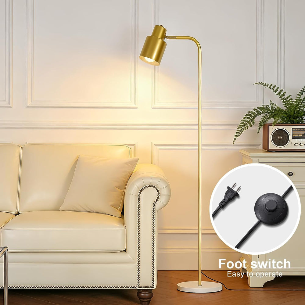 Modern Minimalist Gold Floor Lamp with Three Color Dimming Bulb