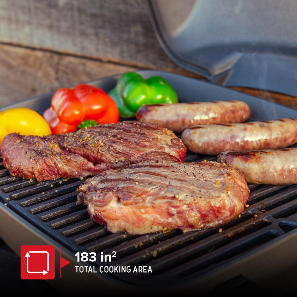Nexgrill Tabletop 1 Burner Gas Grill, Compact with Cast Aluminum Frame