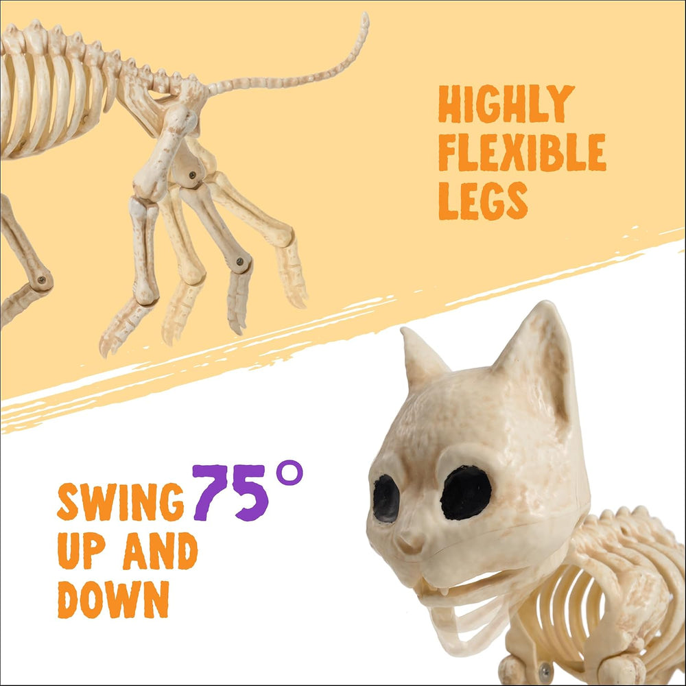 JOYIN Cat Skeleton Halloween Decorations 8 Inch Plastic Animal Skeletons with...