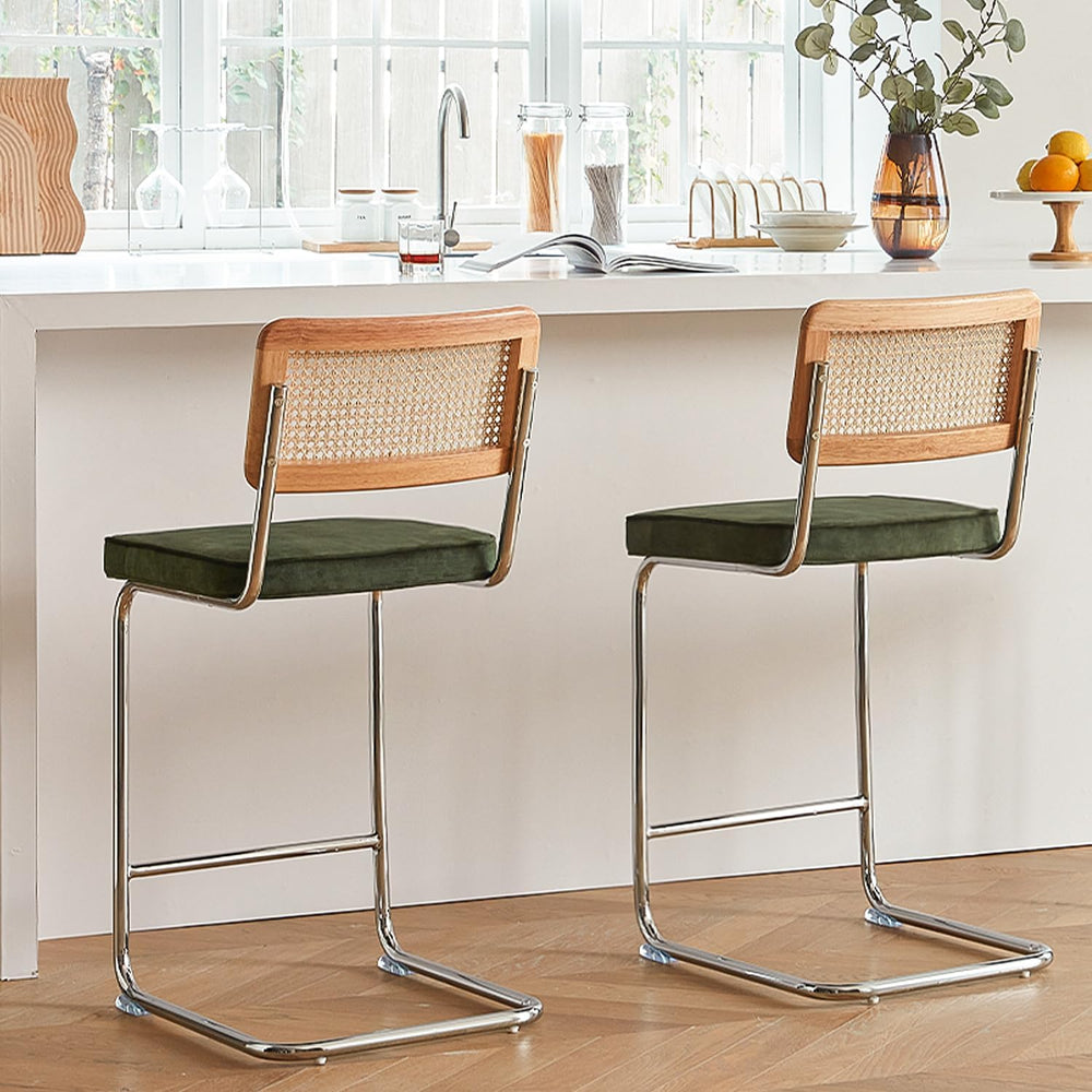 GrandNoor Natural Rattan Bar Stools Set of 2 with Solid Wood Back, 24 Inch Mi...