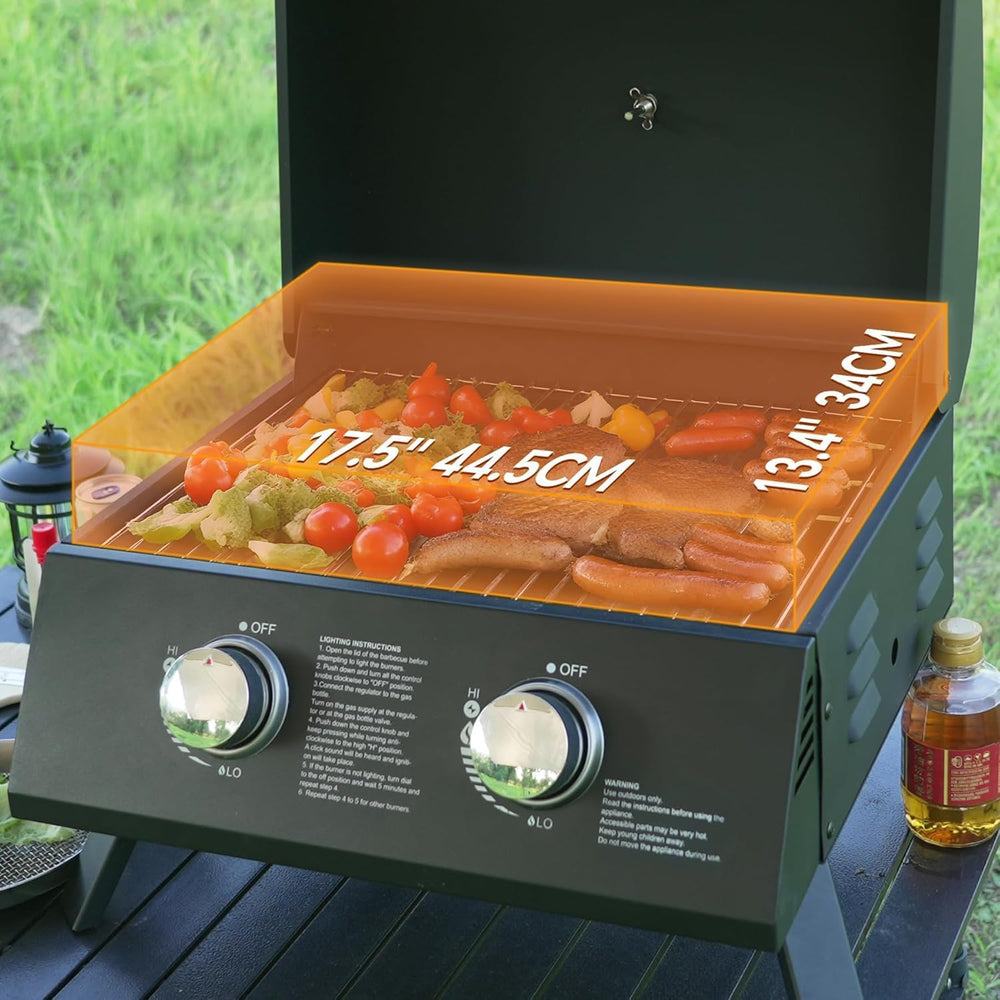 Gas Grills Propane 2-Burner Propane Grill, Asadores De Gas.18000 BTU barbecue...