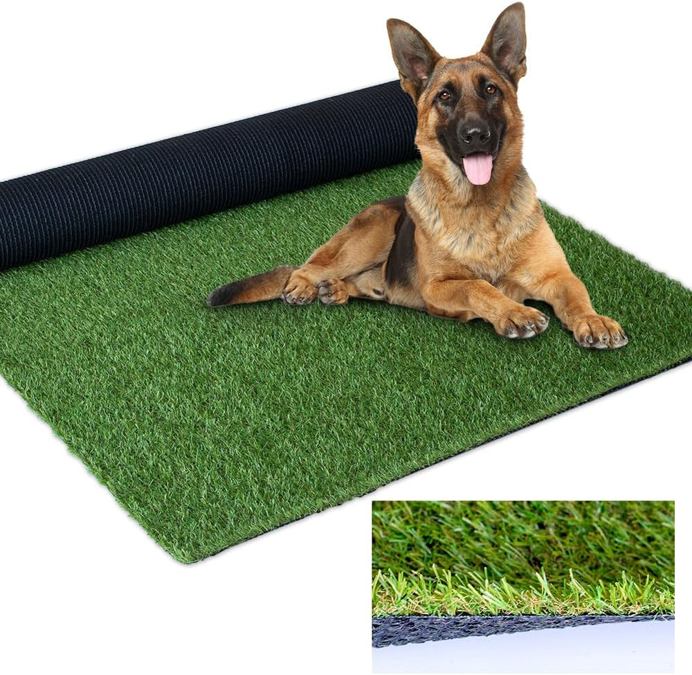 Artificial Grass Outdoor Rug, 3FT x 5FT (15 Square Feet) 0.8 inch Realistic F...
