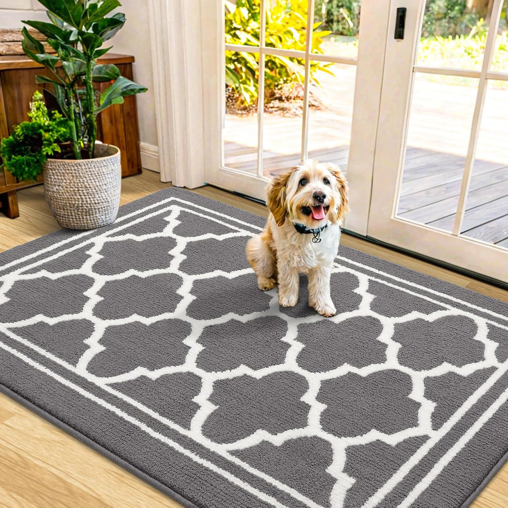 Buganda Indoor Door Mat, Dirt-Resistant and Absorbent Doormat, Anti-Slip, Low...