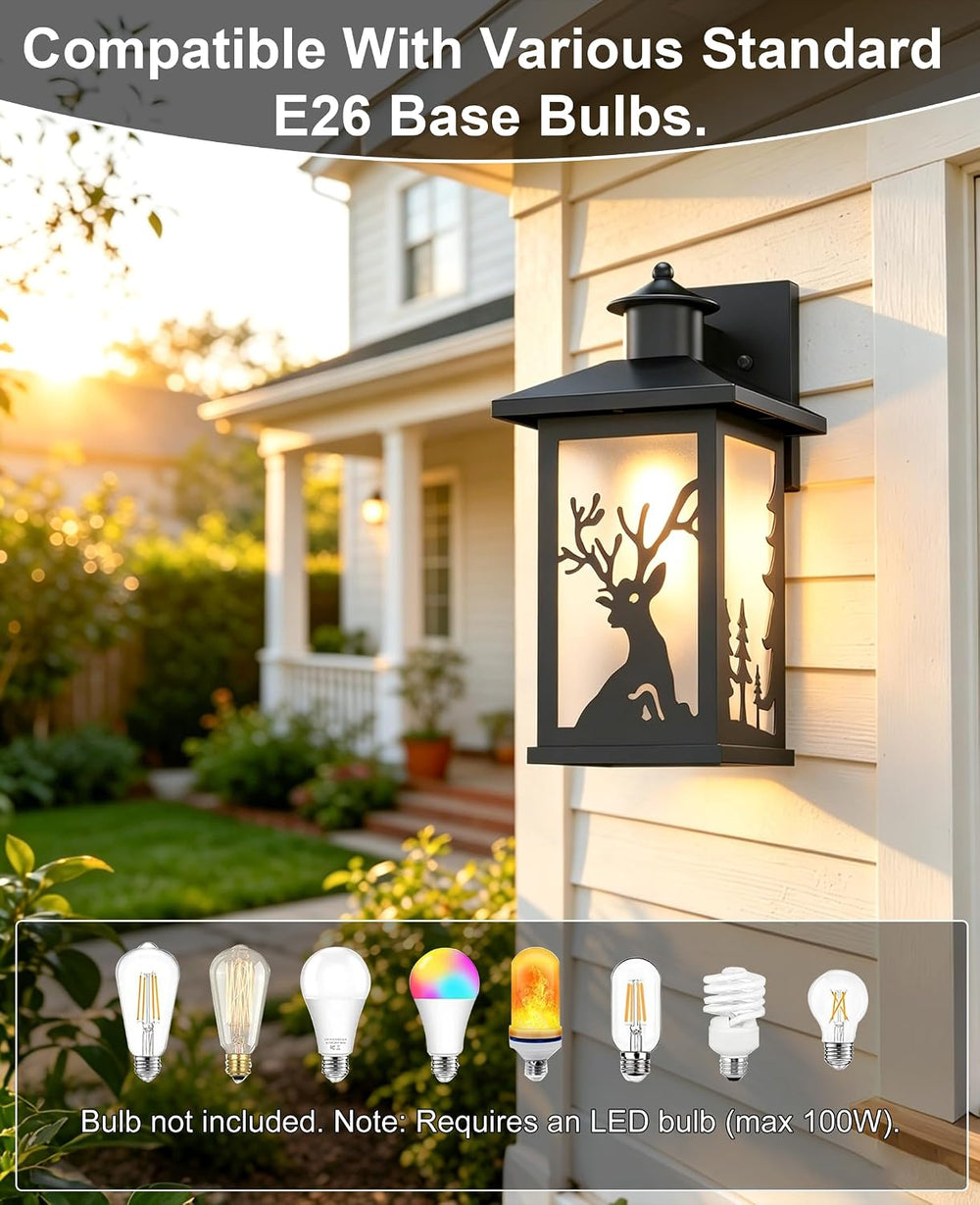 JAYNLT Rustic Porch Light,Outdoor Lights for House,Patio,Front Door,2Pack