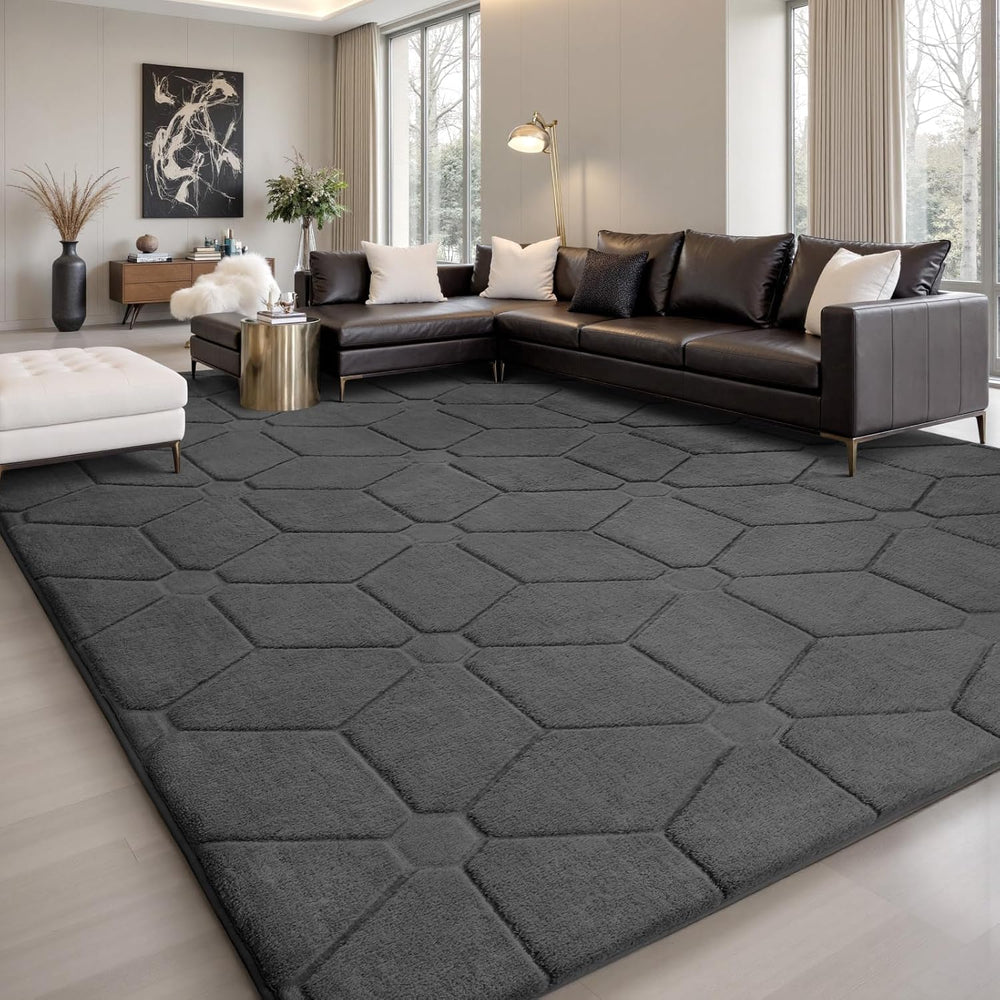 Sour Lemon Area Rugs 9x12 Living Room Bedroom, Large Carpet Grey Rug