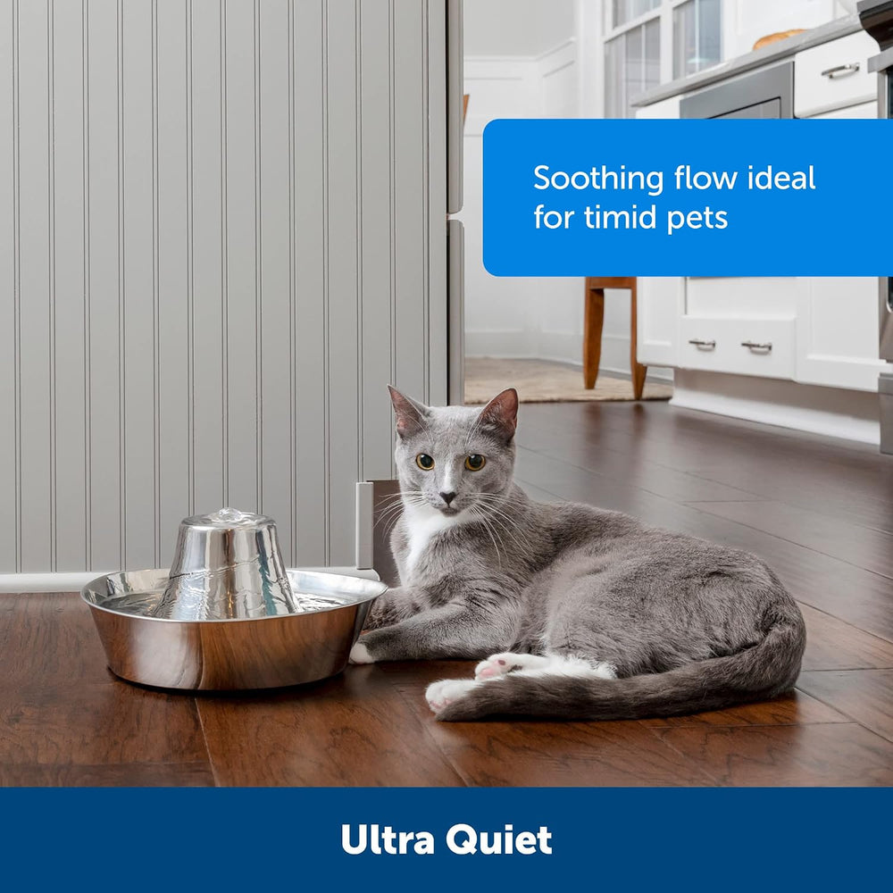 PetSafe Seaside Stainless Cat & Dog Fountain, 60 oz, 2 Filters & Pump