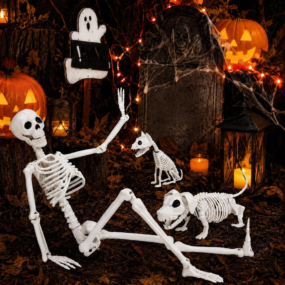 36" Halloween Skeleton Decorations - 3FT Posable Skeleton with Dog &...