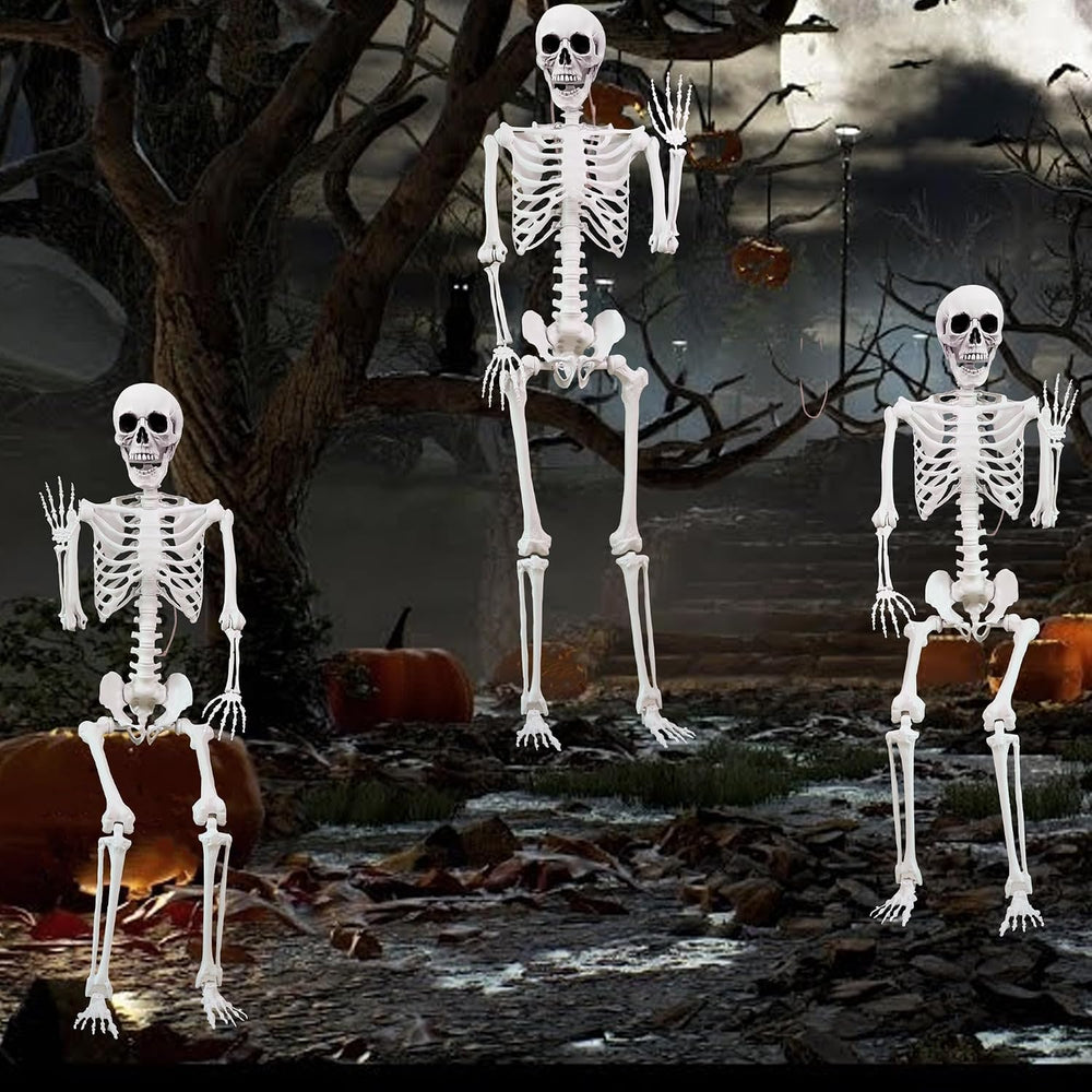 5.4 ft Halloween Skeleton Poseable Skeleton Life Size Skeleton Full Body Plas...