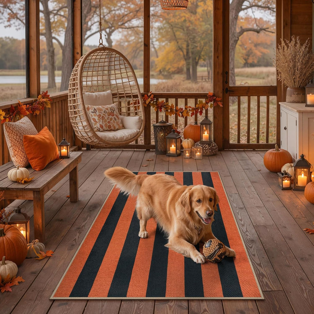 Lahome Striped Fall Outdoor Rug, 3x5 Washable Porch Decor Rug, Orange Black