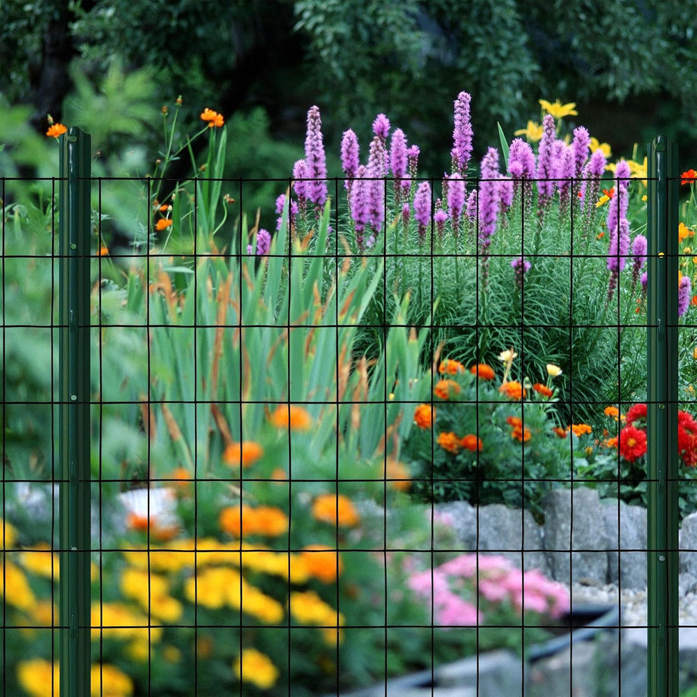 Black PVC Coated Welded Wire Mesh Garden Economy Fence 24 Inch x 50 Foot-3 In...