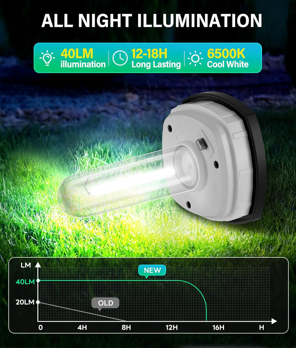 COXSENI Solar Pathway Lights Outdoor Waterproof Cool White, 8 Pack