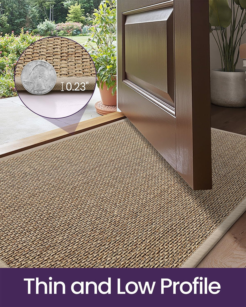 DEXI Ultra Thin Indoor Door Mat 24x36, Entrance Doormats, Beige