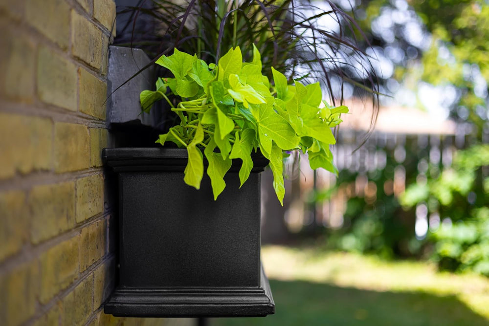Mayne Fairfield 48in Self-Watering Rectangular Window Box Planter, Black