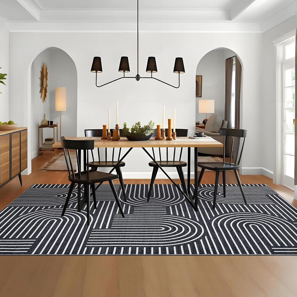 ROYHOME Modern Washable Rug 5x7 Area Rugs for Living Room Non Slip, Black