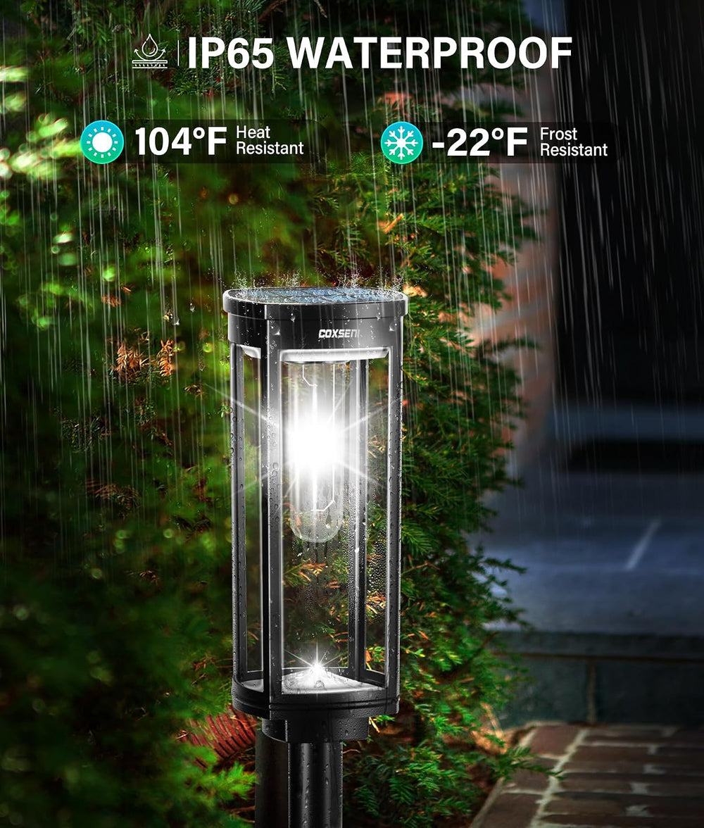 COXSENI Solar Pathway Lights Outdoor Waterproof Cool White, 8 Pack