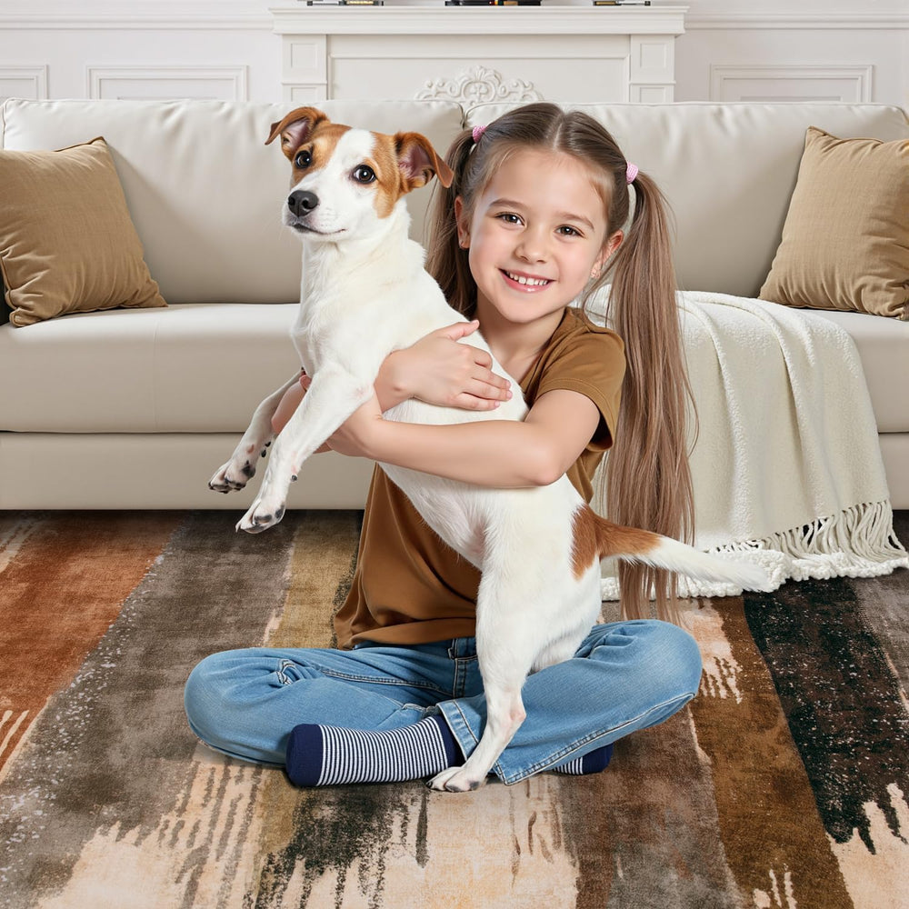 Ciicool 10x14 Area Rug Living Room Rug, Modern Abstract Washable Soft Brown