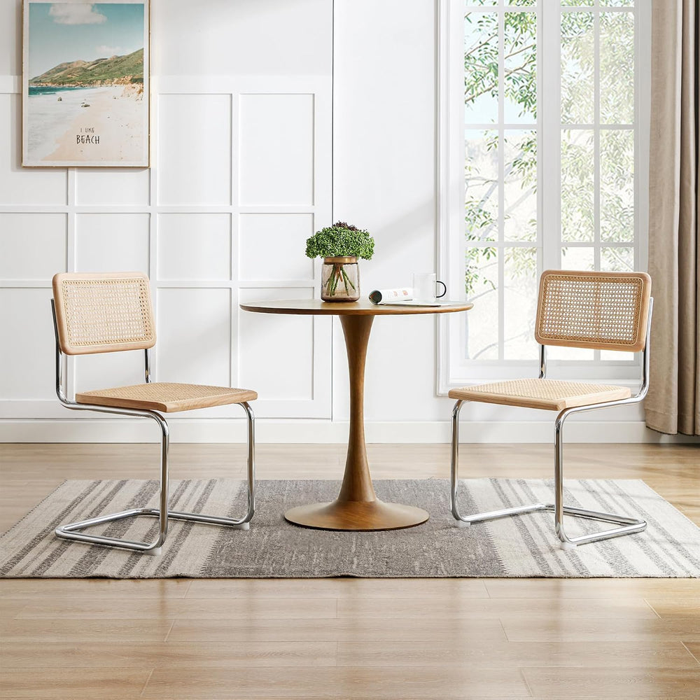 Rattan Cantilever Dining Chairs Set of 2, Boho Modern Dining Chairs with Ratt...