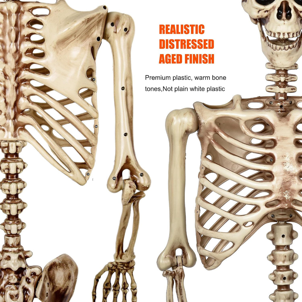 Aimeiar 5.4 Ft Halloween Skeleton Life Size, Posable Skeletons Decor, Full Bo...