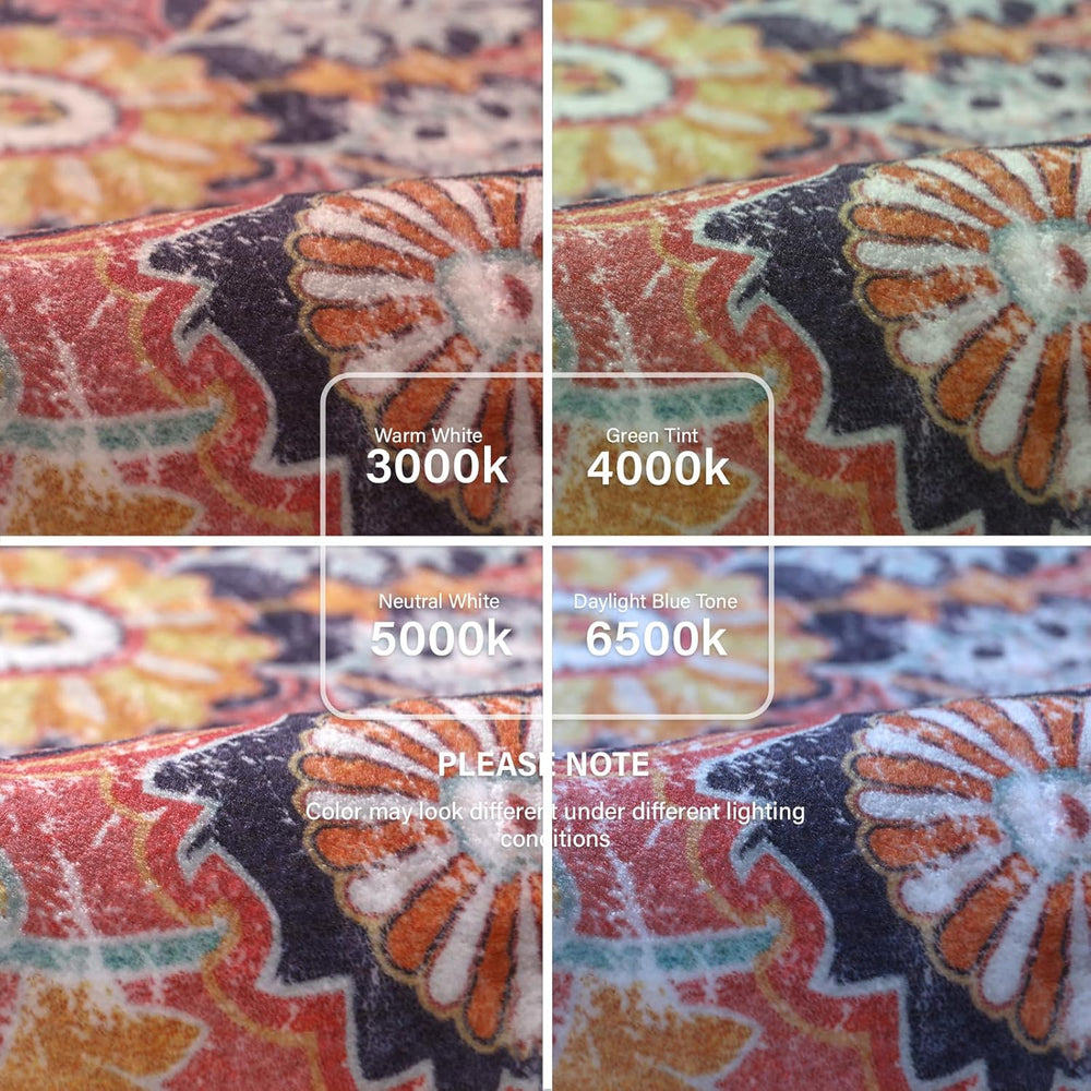 Lahome Reine 6x9 Area Rugs Machine Washable Area Rugs for Living Room, Non Sl...