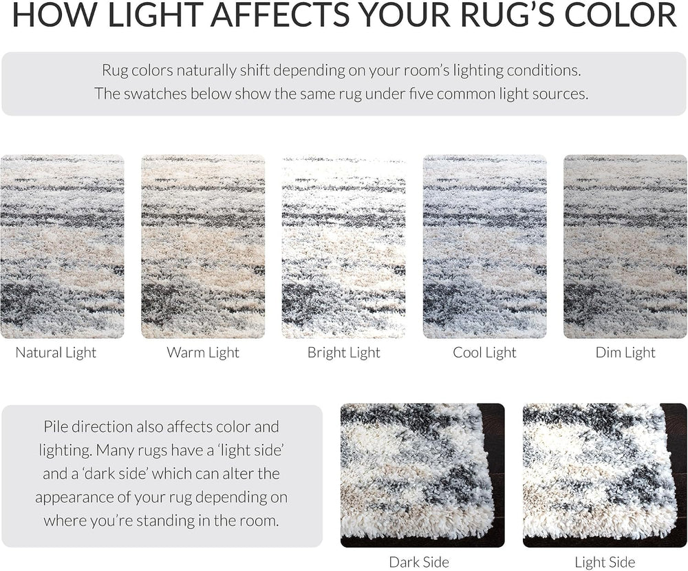 SAFAVIEH Area Rug 10x14 - Fontana Shag Collection - Large - Grey & Ivory,...