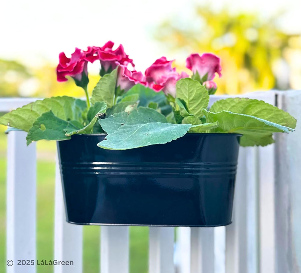 LaLaGreen Deck Rail Planter (16 in, 4 Pack) Black Metal Hanging Flower Pots