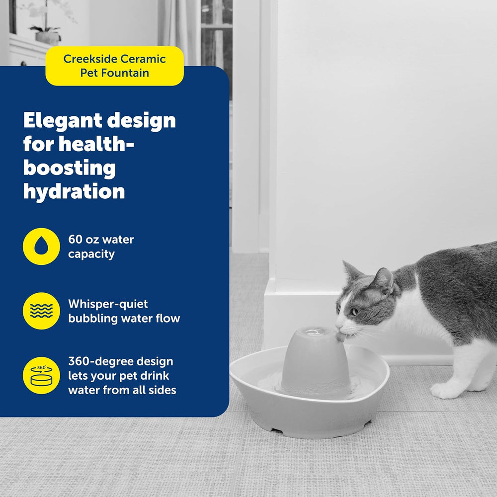 PetSafe Ceramic Pet Fountain – for Cats and Small Dogs – 60 Oz Water Capacity...