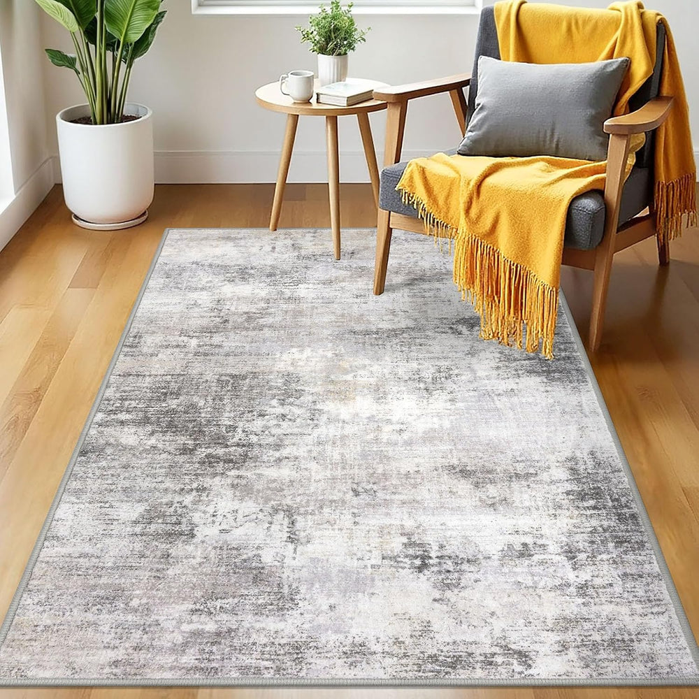 IOHOUZE Abstract Area Rug 3x5 Ft Washable Rugs for Entryway Indoor, Non Slip ...