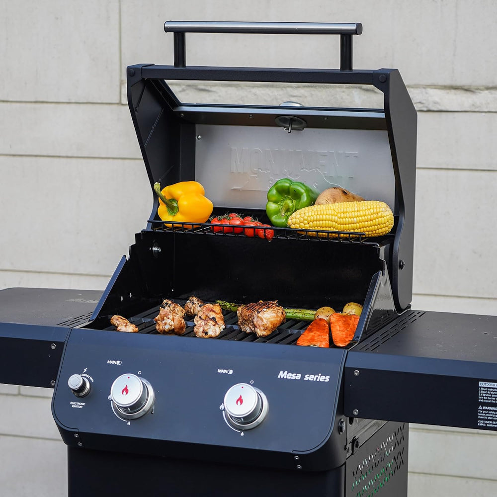 Monument Grills 2-Burner Stainless Steel Liquid Propane Gas Grill, Two Foldab...