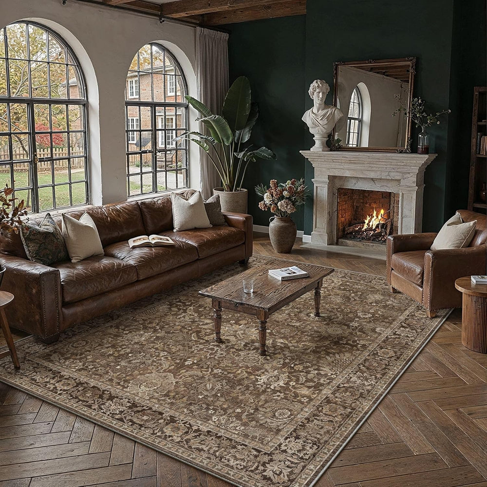 HUGEAR Area Rugs 6x9 Brown Vintage Rug for Living Room