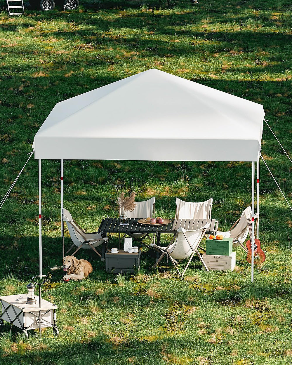 Garvee 10x10 Pop Up Canopy, Beach Ten with One Push Setup, Pure White
