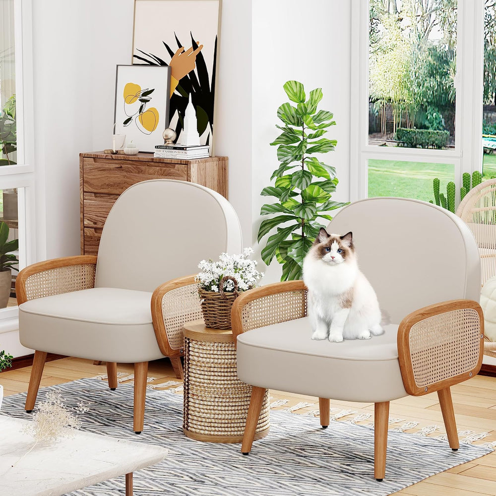 Aklaus Mid Century Modern Accent Chairs Set of 2 Upholstered Rattan Faux Leat...