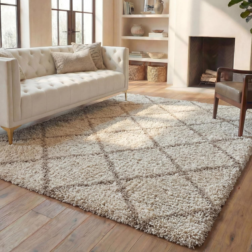 SAFAVIEH Hudson Shag Rug 10x14, Plush X-Large Multi Ivory & Beige SGH281H