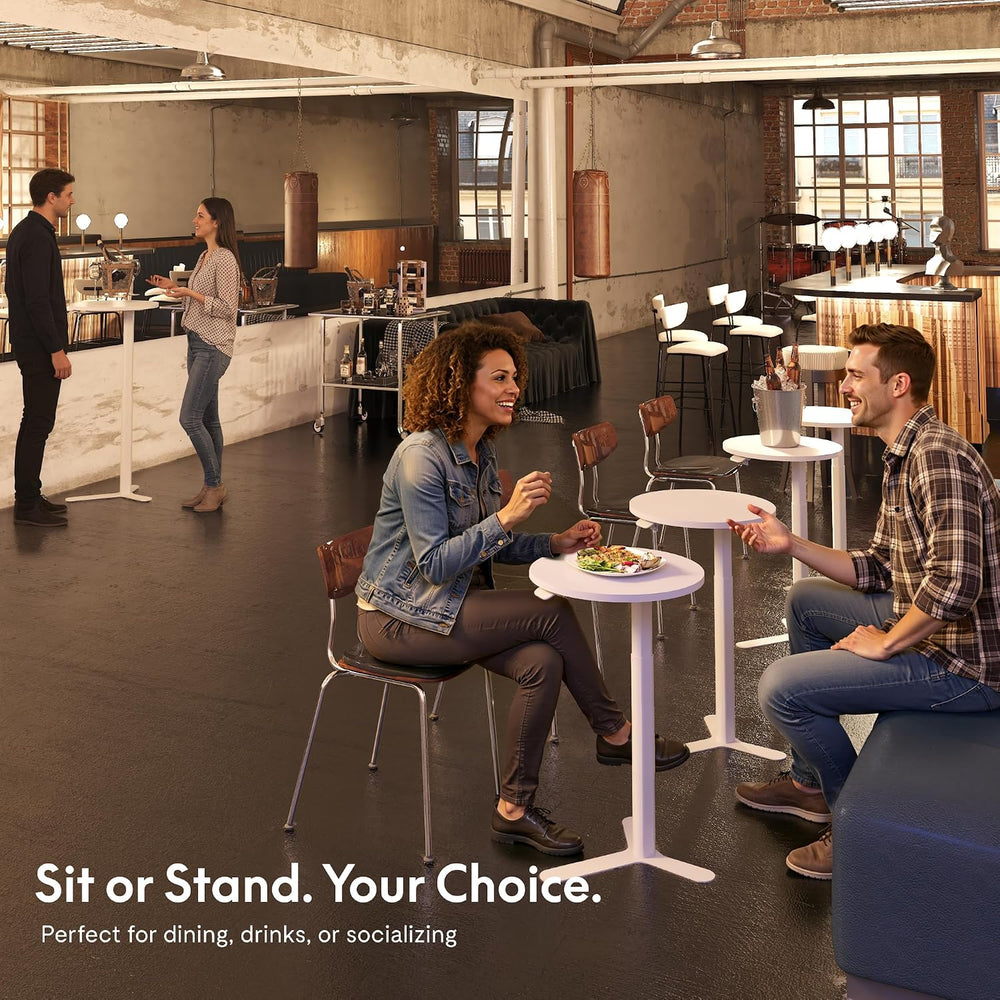 FLEXISPOT Gas Spring Lift Sit-to-Stand Table,20" Round Bar Table