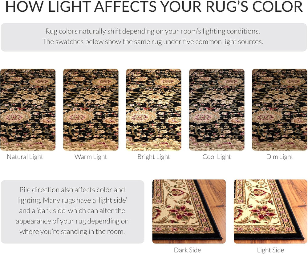SAFAVIEH Lyndhurst Area Rug 9x12 Large, Black & Ivory LNH212A