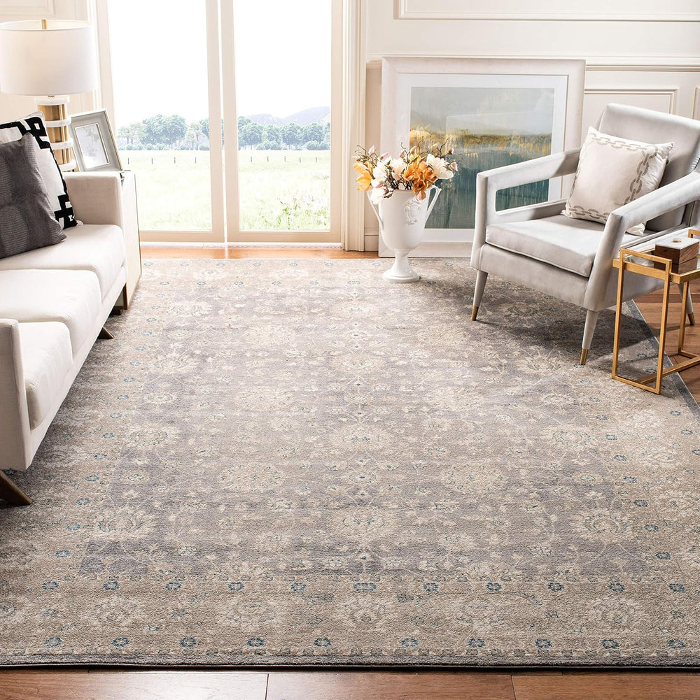 SAFAVIEH Sofia Collection Area Rug - 10' x 14', Light Grey & Beig...