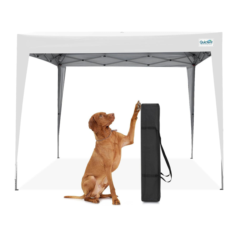 Quictent 10x10 Pop Up Canopy Tent Without Sidewall