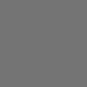 CROWN SHADES 10x10 Pop Up Canopy Tent, Outdoor Canopy, Grey