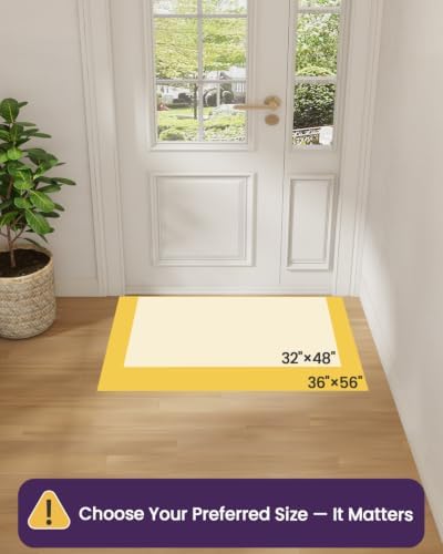 DEXI Thin Door Mat Indoor Entrance 32x48, Non Slip Entryway Mat, Beige