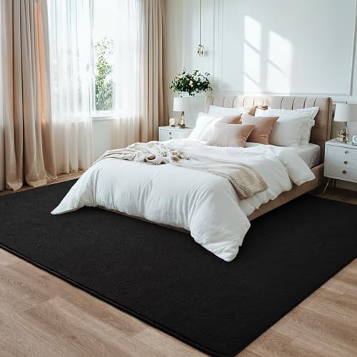 7x10 Black Area Rug Modern Aesthetic Minimalist
