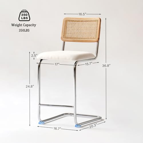 GrandNoor Natural Rattan Counter Height Stools Set of 2 with Solid Wood Back,...