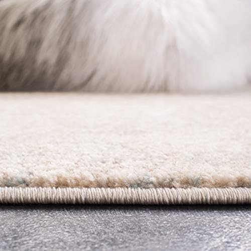 SAFAVIEH Adirondack Area Rug 6x9, Modern Beige & Slate ADR207B